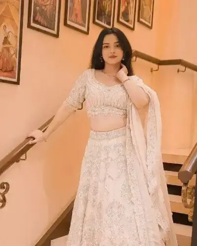 Escort Mehsana